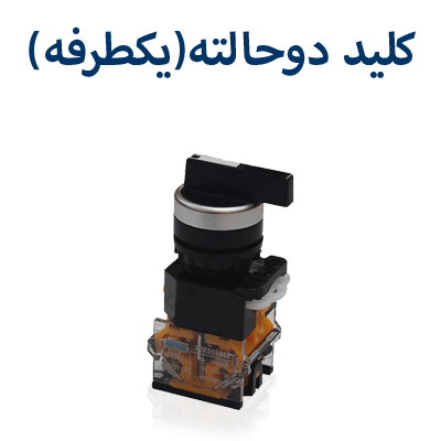 کلید دو حالته