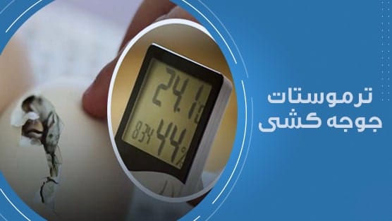 ترموستات دما و رطوبت